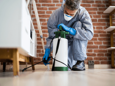 About Ants & Rodents Pest Control Peoria - pest control experts in Peoria