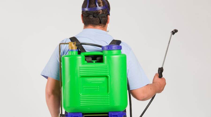 Why choose Ants & Rodents Pest Control Peoria for pest control in Peoria